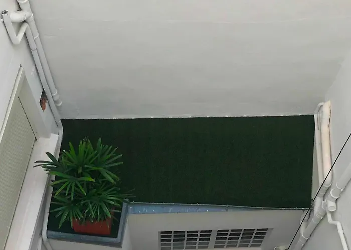 Saint-patrick Coeur De